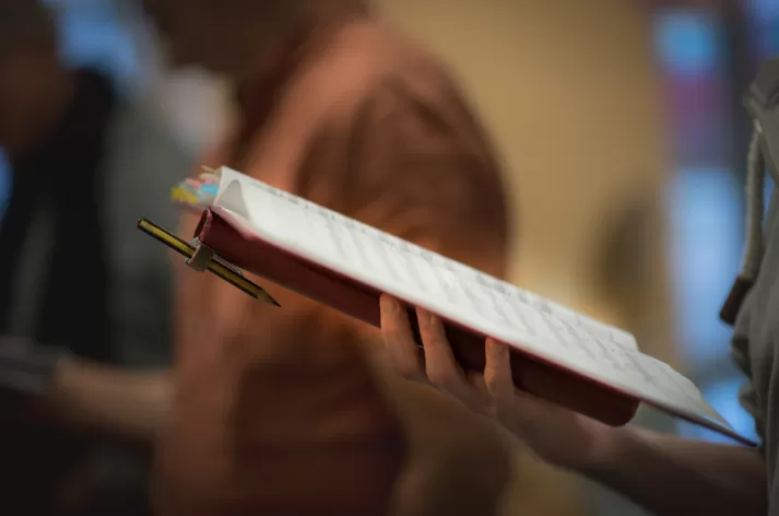 Koro Calismalari Fiyatlari 2