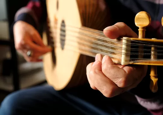 Ozel Ileri Muzik Kurslari 1