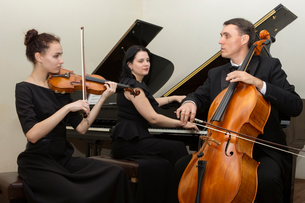 Ozel Keman Kursu Istanbul