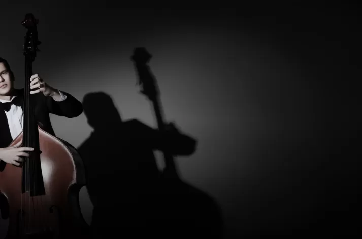 Ozel Kontrbas Kursu Fiyatlari