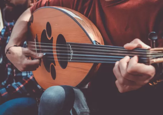 Ozel Ud Egitimleri 1