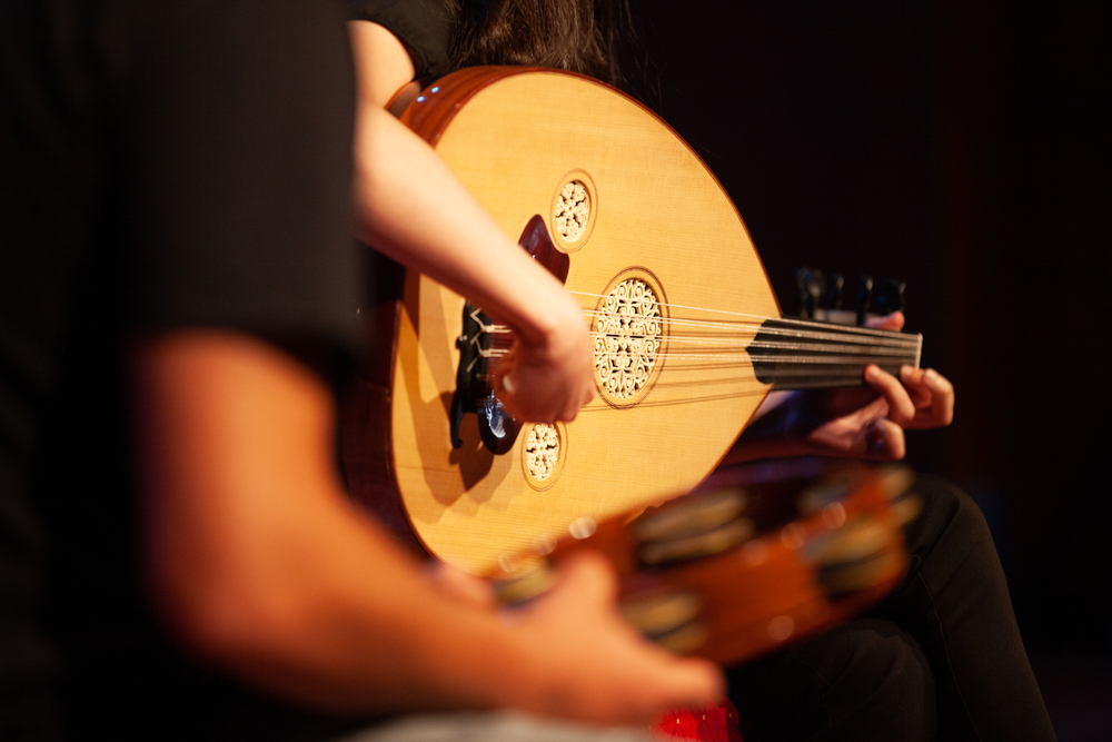 Ozel Ud Kursu Fiyatlari