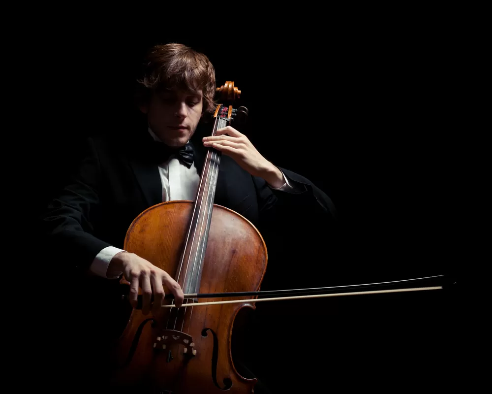 Ozel Viyolonsel Kursu Is Imkani