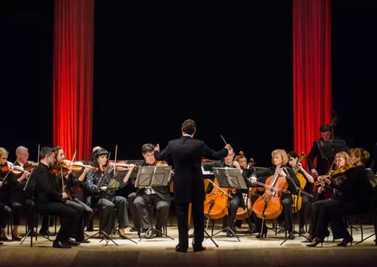 Sirket Orkestrasi Dersleri 1