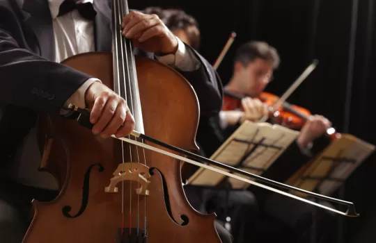 Yayli Calgi Kurslari