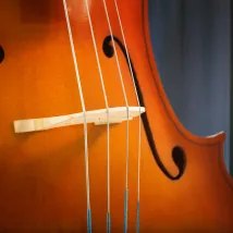 Çello Kursu - Müzik Akademi
