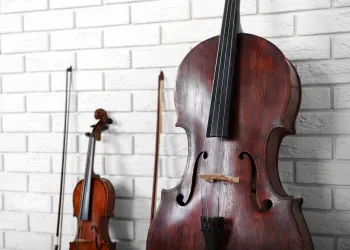 Çello mu, Keman mı, Kontrbas mı? Karşılaştırmalı Rehber